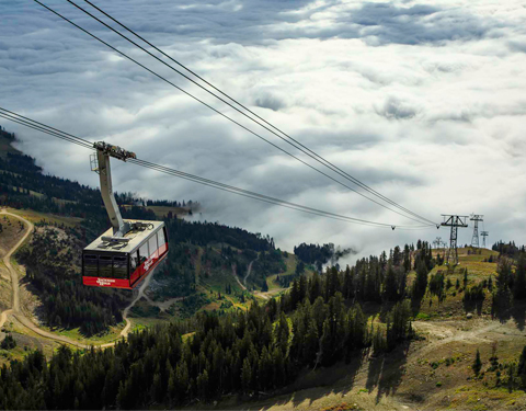 The Jackson Hole Tram in Jackson, Wyoming